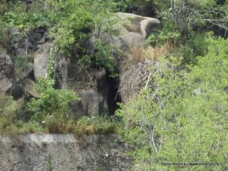 rme santa Venera27-04-2014 18-13-13